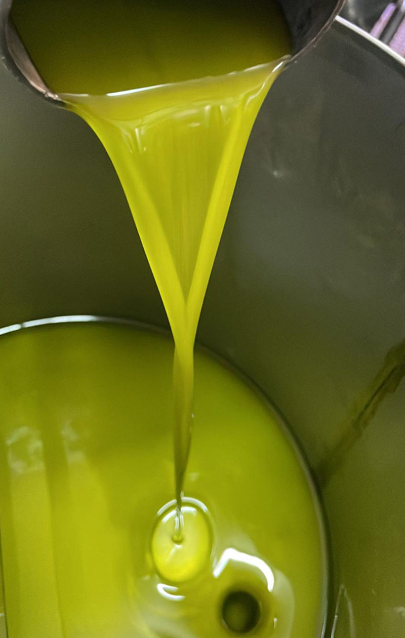 olio extra vergine di oliva sicilia