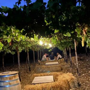 aperitivo in vigna castello inici